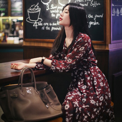 月妖雪 碎花连衣裙2017韩版时尚女装春装长袖气质复古度假雪纺打底中长裙