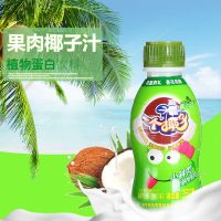 椰汁岛 正宗椰子汁整箱生榨椰汁饮料海南风情一箱350g*12瓶