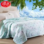 浪莎 空调被夏凉被夏季双人可水洗夏被被芯单人薄被子儿童学生被褥150*200cm