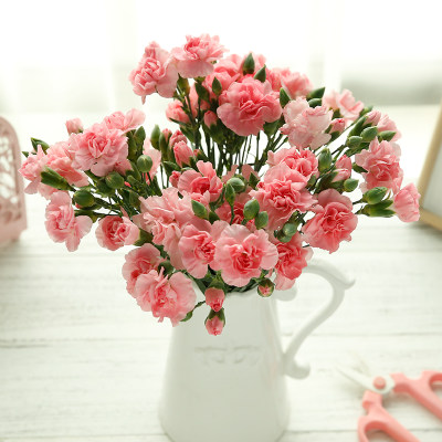 献给很爱的妈妈# 爱 母亲节多头康乃馨花束