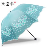新天堂伞 防紫外线遮阳伞黑胶防晒女太阳伞三折叠两用小清新晴雨伞