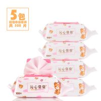 沁心贝贝 湿巾婴儿湿纸巾100抽手口无香湿纸5包500片带盖批发