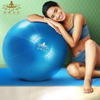 Hathayoga哈达瑜伽 加厚防爆女运动健身孕妇分娩儿童平衡瑜珈球减肥55cm