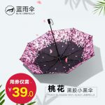 蓝雨 折叠太阳伞防止外线黑胶防晒遮阳伞晴雨两用小清新雨伞女