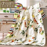 芯芯梦 全棉夏被纯棉夏凉被空调被春秋被卡通可水洗薄被子双单人学生 150*200cm