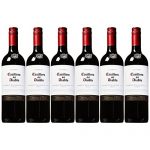 Casillero del Diablo 红魔鬼 卡本妮苏维翁红葡萄酒750ml*6 智利进口