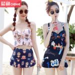 DUDU&MUMU 2017韩国分体泳衣女情侣裙式小胸钢托聚拢遮肚高腰少女泡温泉