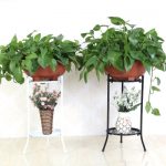 oylang欧意朗 多层铁艺花架落地客厅阳台室内花盆架简约欧式绿萝吊兰花架