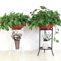 oylang欧意朗 多层铁艺花架落地客厅阳台室内花盆架简约欧式绿萝吊兰花架