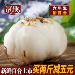 冠趣 兰州新鲜百合农家食用甜百合六年生三头皇真空500g一斤3袋9个