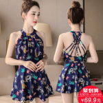 新丽雅 泳衣女连体裙式遮肚显瘦保守钢托小胸聚拢泳装性感韩国温泉游泳衣