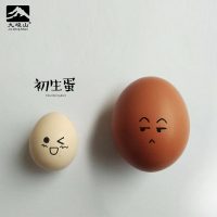 九嵕山 初生蛋农家散养土鸡蛋新鲜柴鸡蛋草鸡蛋笨鸡蛋小鸡蛋30枚