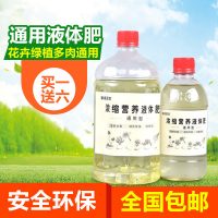 Beautifulblooms美丽绽放 绿植物营养液通用型花肥料室内盆栽土水培绿萝多肉花卉液体有机肥 460ml