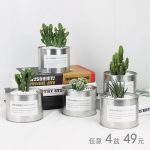 懒人园艺 仙人球盆栽多肉组合万重山十二卷白鸟膨珊瑚防辐射植物仙人掌肉肉