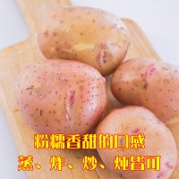 乡村公社 云南红皮土豆黄心宝宝辅食土豆泥马铃薯农家自种新鲜蔬菜批发8斤