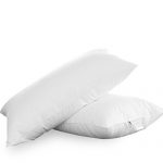 Downia杜维雅 丽思卡尔顿 同款定制 90%白鹅绒枕头(对枕)74*48cm 白色 B-008