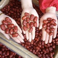 早老大 新疆特产红枣若羌灰枣2500g年货小枣子5斤