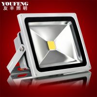 友丰 泛光灯 LED投光灯10W50W防水户外灯室外灯泛光灯广告灯20W30W100W投射灯