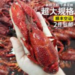 正宗盱眙十三香小龙虾滕记麻辣香辣鲜活熟食真空油焖大虾1两只 500g 连汤1000g