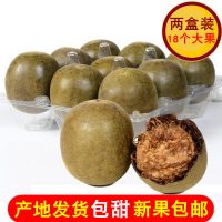 罗汉果 18个大果新鲜罗汉果茶 广西桂林永福特产果干 花茶 约324g
