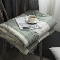 唐朵 可水洗日式简约全棉水洗棉夏被空调被夏季被芯纯棉春秋被子薄被芯