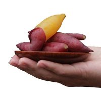 杭州天目山小香薯5斤 30个左右 红薯 地瓜 番薯 山芋 新鲜水果 蔬菜