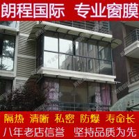 朗程 隔热膜玻璃防晒贴膜家用窗户贴纸单向透视阳台卧室遮光太阳膜 50cm*2m 可定制