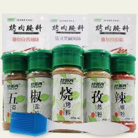 TRICON特瑞肯 烧烤调料组合套装 5瓶+全套奥尔良烤翅腌料 3袋 辣椒孜然粉烤肉调料