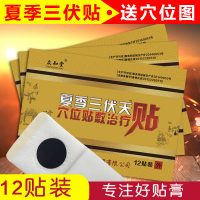 众知堂 三伏贴膏贴 12贴 穴位贴敷贴 送高清彩色穴位说明图