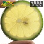 海屿 海南青柠檬新鲜水果现摘现发皮薄多汁多省 共发5斤