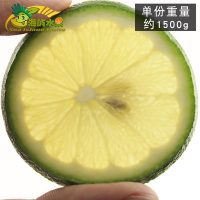 海屿 海南青柠檬新鲜水果现摘现发皮薄多汁多省 共发5斤