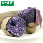 仕外田源 17年现挖新鲜黑土豆新鲜蔬菜黑金刚马铃薯紫土豆5斤