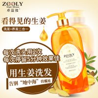 Zooly卓蓝雅 无硅油泡姜洗发水防脱发生姜洗发露育发增发控油去油800ml
