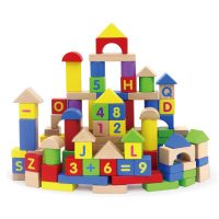 洪恩 趣味启智积木玩具 男女孩婴儿宝宝儿童木制榉木 100粒