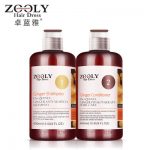Zooly卓蓝雅 生姜防脱控油洗发水套装防脱发洗发露护发素洗护套装 400ml+400ml