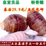 正宗广西荔浦芋头 新鲜槟榔芋农家蔬菜毛芋香芋5斤装