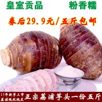 正宗广西荔浦芋头 新鲜槟榔芋农家蔬菜毛芋香芋5斤装