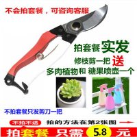 爱伊贝紫 修枝剪 园林剪园艺花枝剪树枝剪粗枝剪果枝剪进口不锈钢修枝剪刀