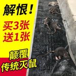 科凌虫控 老鼠贴超粘鼠板灭鼠神器驱鼠魔毯抓老鼠胶药老鼠夹捕鼠器家用