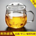 Nonxis龙兮 透明玻璃杯女男家用加厚带盖过滤耐热玻璃花茶杯水杯 550ml