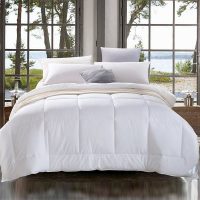 LENCIER兰叙 全棉春秋被双人加厚保暖被芯冬被单人学生宿舍空调被 全尺寸同价