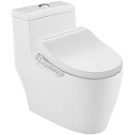 Panasonic松下 CHZWLDN30WF2+1330 抽水马桶虹吸式连体坐便器300坑距+智能马桶盖套餐