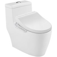 Panasonic松下 CHZWLDN30WF2+1330 抽水马桶虹吸式连体坐便器300坑距+智能马桶盖套餐