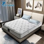 EVENILAND依丽兰 流金岁月 3e椰梦维椰棕床垫 护脊弹簧床垫 席梦思床垫 180*200*15cm