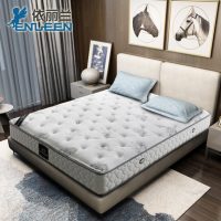 EVENILAND依丽兰 流金岁月 3e椰梦维椰棕床垫 护脊弹簧床垫 席梦思床垫 180*200*15cm