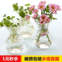 透明玻璃瓶水培植物容器绿萝养花花瓶干花插花客厅摆件装饰小花盆