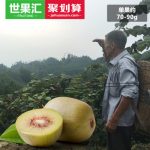 Fruitone世果汇 雅安红心猕猴桃 新鲜水果 大深山里自然味 匠心种植 70-90g 560g*3件