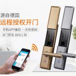 DESSMANN德施曼 T720p 小嘀云智能锁 家用木门防盗门密码锁电子门锁T720p 双色可选