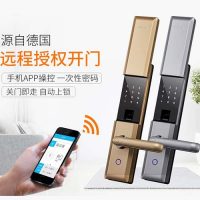 DESSMANN德施曼 T720p 小嘀云智能锁 家用木门防盗门密码锁电子门锁T720p 双色可选