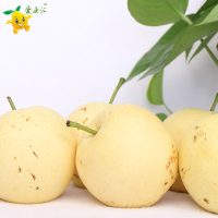 爱亚汇 河北特产皇冠梨现摘现发新鲜水果梨子产地直销香脆梨5斤整箱